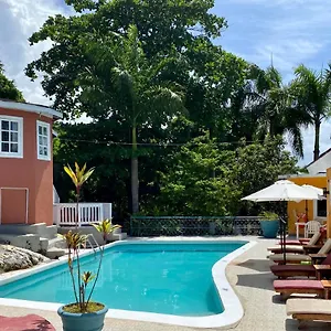  Bed & Breakfast The Blue Orchid Giamaica